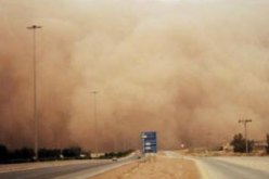 ارتفاع حصيلة قتلى العاصفة التى ضربت أوروبا إلى 13 شخصًا