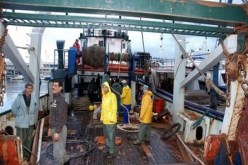 بدء سريان مفعول نظام تقاعد مهنيي الصيد البحري