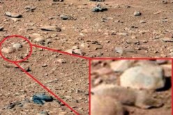 فأر على سطح المريخ.. صور غامضة من ناسا تشعل الجدل على الإنترنت