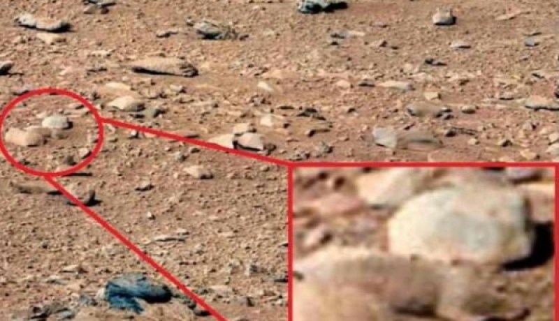فأر على سطح المريخ.. صور غامضة من ناسا تشعل الجدل على الإنترنت