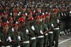 ضبط 28 من المهاجرين غير الشرعيين من جنسيات أفريقية