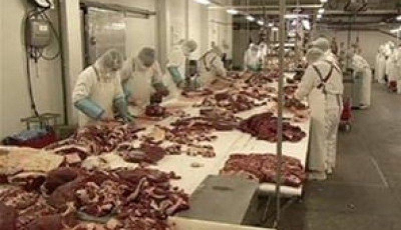 فرنسا تقترح توزيع لحوم الخيول على منظمات الإغاثة