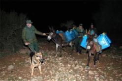 حجز بتبسة منتجات كانت مصدرها التهريب بقيمة تقارب 9 ملايين دينار