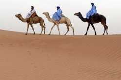 مجلس الامن يتبنى قرارا حول الصحراء الغربية