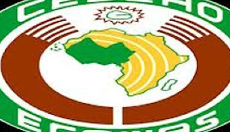 «الإيكواس» توافق علي تحويل القوة الإفريقية بمالي إلى قوة حفظ سلام