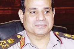 السيسي: انتخابات رئاسية مبكرة وتكليف رئيس الدستورية بمهام الرئيس مؤقتًا
