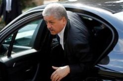 سلال في جنيف للمشاركة في الاحتفال بالذكرى ال50 لإنشاء معهد الأمم المتحدة للتكوين و البحث