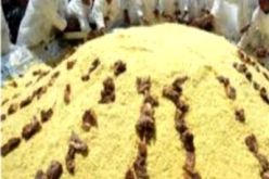 طبق عملاق من أكلة بلبولة في عيد عاشوراء ببشار