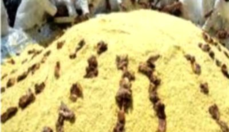 طبق عملاق من أكلة بلبولة في عيد عاشوراء ببشار
