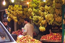 حملة لمقاطعة شراء فاكهة الموز بعد أن تعدى سعرها 300 دينار