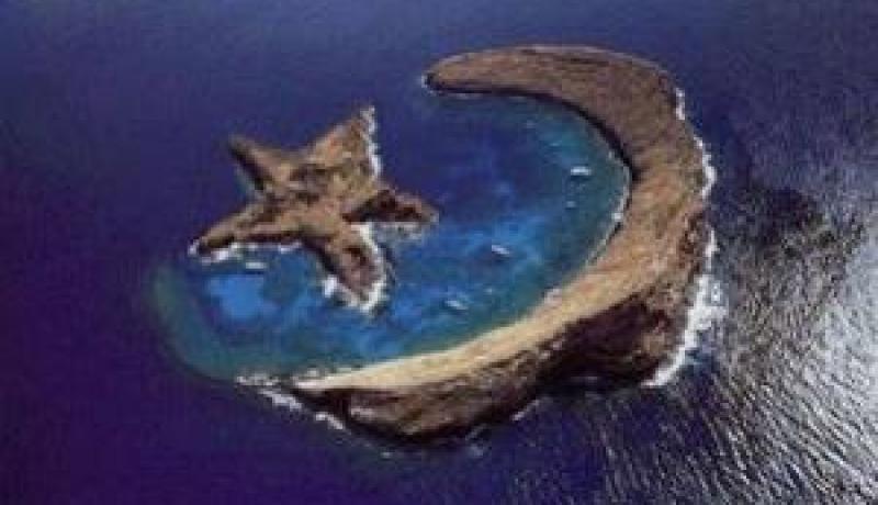 نهارك ليوم الأحد