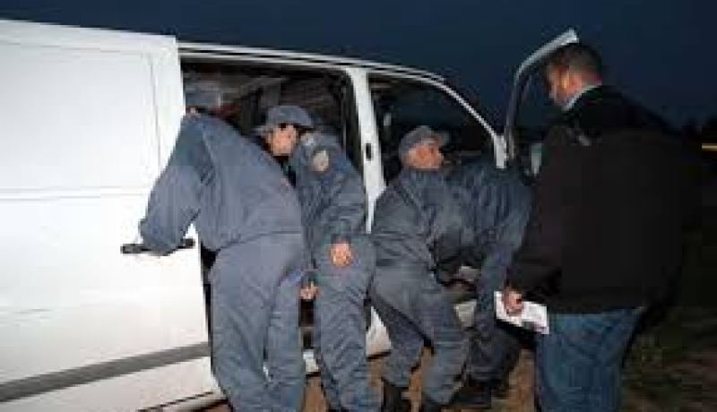 حجز 3 حاويات لمواد البناء بالميناء الجاف لوهران في عملية احتيال