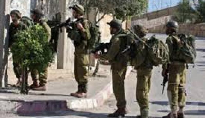 الاحتلال الإسرائيلي يعتقل 6 فلسطينيين ويصادر 3 دونمات من الأراضي في الضفة الغربية