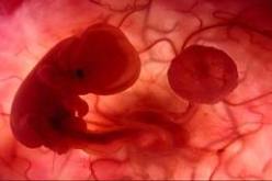 الصين تطور علم هندسة الجينات لتصنع جيل من العباقرة