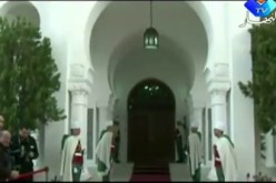 قصر المرادية ينتظر الأسد القادم لرئاسيات 2014