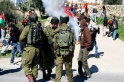 قوات الاحتلال تعتقل 7 فلسطينيين في الضفة الغربية