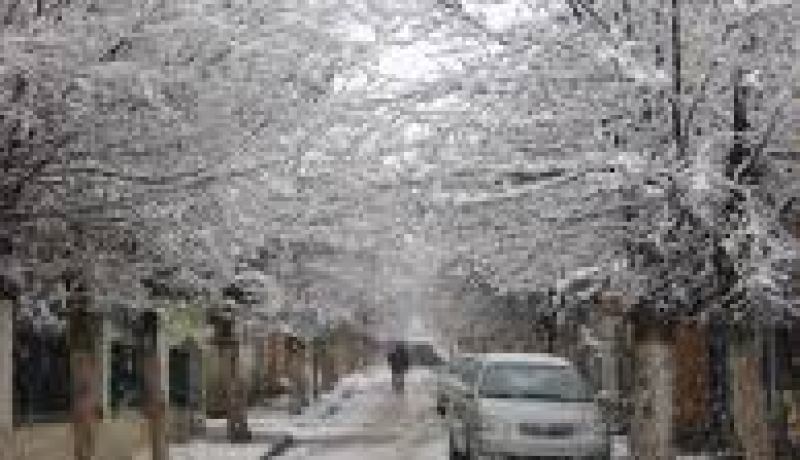 ارتقاب تساقط الثلوج ابتداء من مساء اليوم الاربعاء بعديد ولايات الوطن