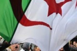 ارتفاع الأسعار محط اهتمام الجزائريين أكثر من تفاصيل الحملة الانتخابية