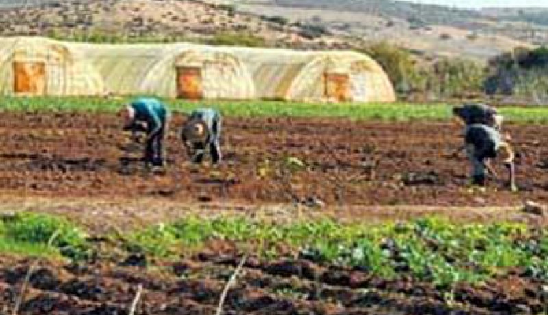 عقود برامج لتسيير أفضل لقطاع الفلاحة بقسنطينة