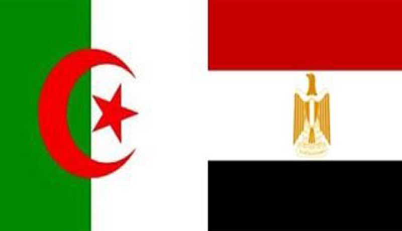 السفير المصري: الجزائر دولة محورية في المنطقة