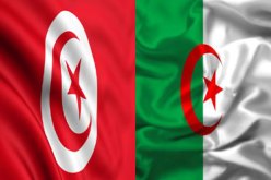 اهتمام تونسي بتجسيد شراكات تونسية جزائرية موجهة نحو التصدير