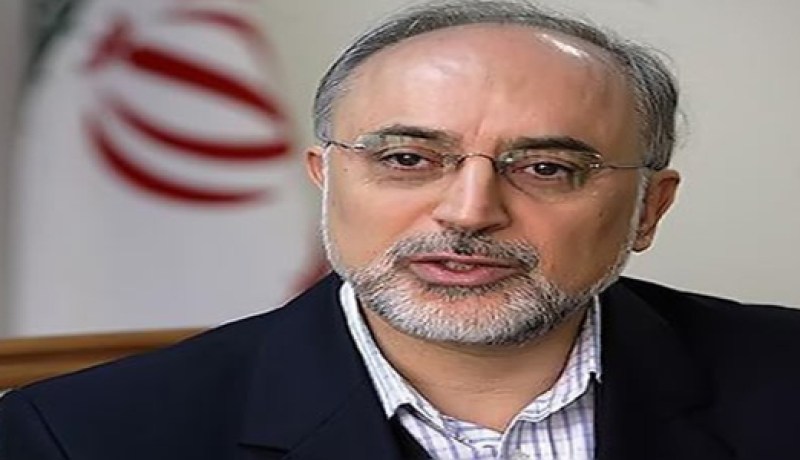 صالحي إيران لا تريد الدخول في مواجهة وواثقة من سلمية برنامجها النووي