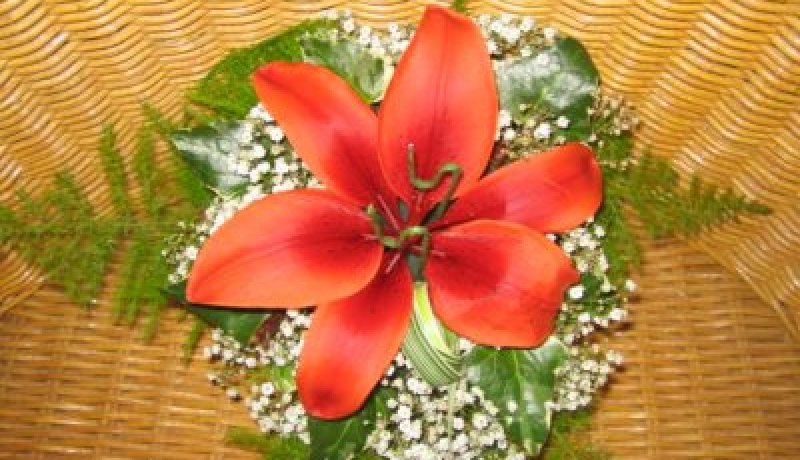 عروض زواج