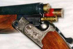 يقتل أخيه ببندقية صيد في المعامرية بالمدية