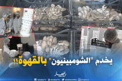 غيلاس..يخوض أول تجربة فلاحية في زراعة الفطر ببقايا القهوة 
