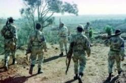 تحديد هوية إرهابيين من بين الثلاثة المقضي‮ ‬عليهم في‮ ‬كمين تبسة