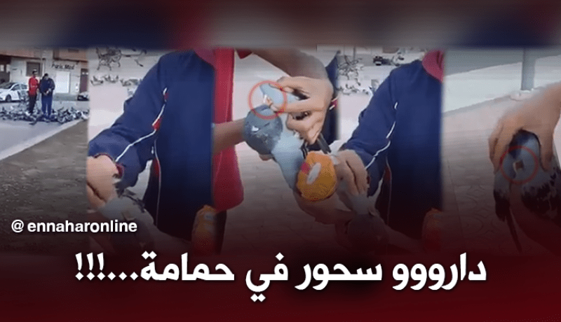 سحور في جناح “حمامة” بوهران