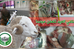 تحقيق متسارع لفكّ لغز تعفن الأضاحي