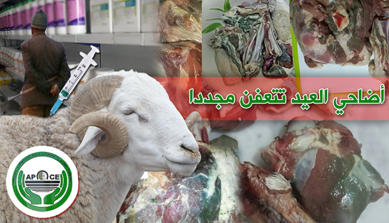 تحقيق متسارع لفكّ لغز تعفن الأضاحي