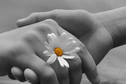 النهار تساعدك لدخول بيت الزوجية