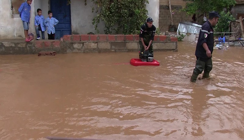 12 قتيلا وعشرات الجرحى بعديد ولايات الوطن في 24 ساعة