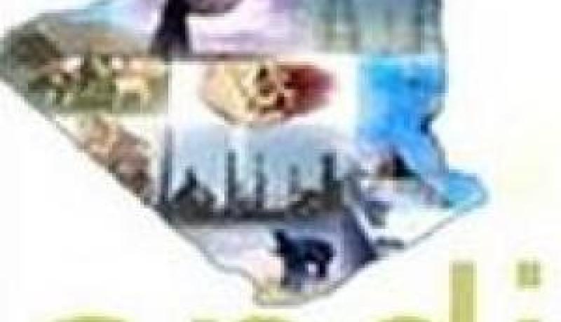 الجزائر زيادة بنسبة 17 بالمائة في مشاريع الاستثمار