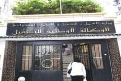 إدانة المدير الجهوي لوكالة التشغيل بتهمة تزوير شهادة البكالوريا في وهران