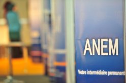 معالجة طلبات العمل عبر ANEM بـ10 ولايات جنوبية في 3 أيام