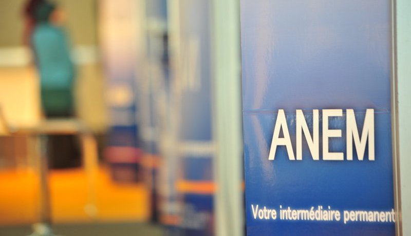 معالجة طلبات العمل عبر ANEM بـ10 ولايات جنوبية في 3 أيام