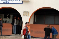 الوظيف العمومي يرفض الاعتراف بعشرات الشهادات الجامعية بالوادي والوضع ينبئ بالانفجار