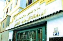 مشروع وزاري مشترك لتسهيل التوظيف بالجنوب
