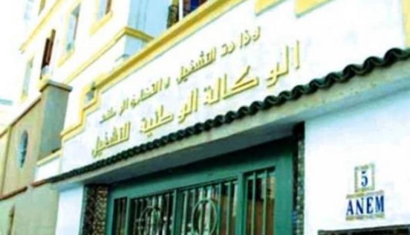 مشروع وزاري مشترك لتسهيل التوظيف بالجنوب