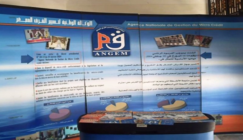 الوكالة الوطنية لتسيير القرض المصغر : استحداث بعنابة أزيد من 900 مؤسسة مصغرة منذ بداية 2011