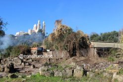 والي عنابة يأمر بالتحقيق حول استغلال المنطقة الأثرية «هيبون» لبناء «الڤرابة»!