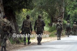 كشف عشرة مخابئ للإرهابيين بكل من جيجل وإليزي