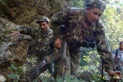 حملة تمشيط واسعة بأدغال وادي الشولي في تلمسان