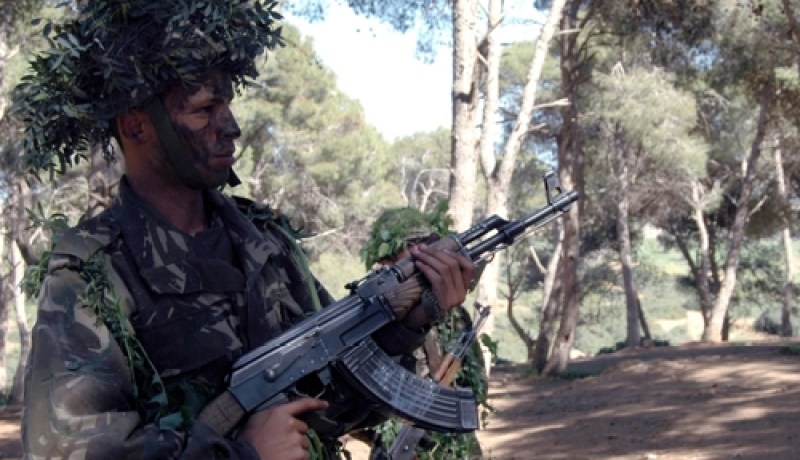 الجيش يحاصر مجموعة إرهابية في غابة أكفادو