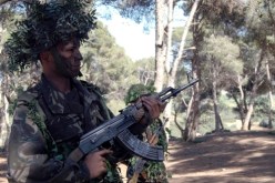 الجيش يحاصر مجموعة إرهابية بأعالي دوار قيراطين في سكيكدة