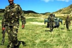 الجيش يواصل تمشيط المناطق الحدودية في تيسمسيلت