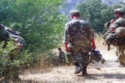 القضاء على ستة إرهابيين على الأقل بجبل أرقو بالقرب من تبسة